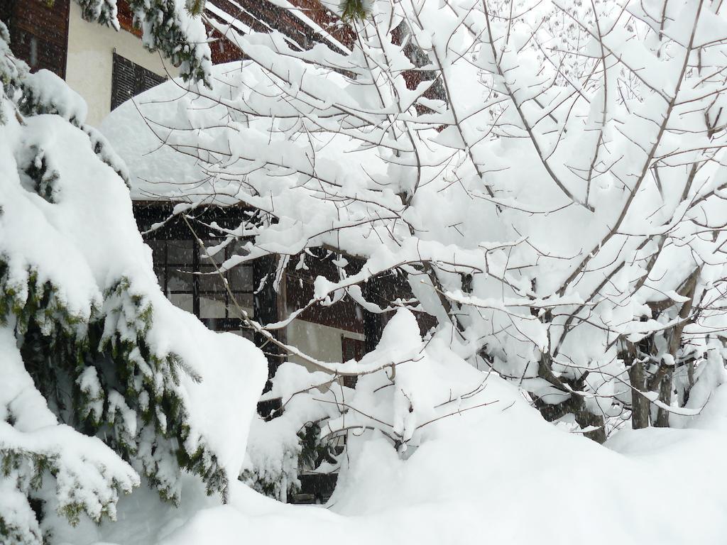 Residence Felik Gressoney-la-Trinité Екстериор снимка